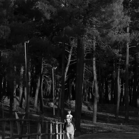 Villares * Los Villares de Soria