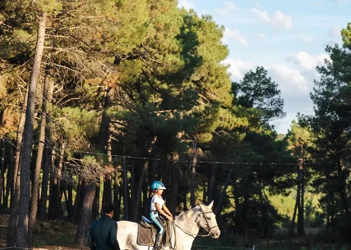 Appartement Villares
